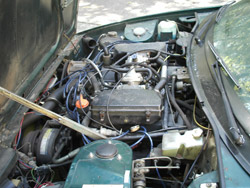 1980 TR8